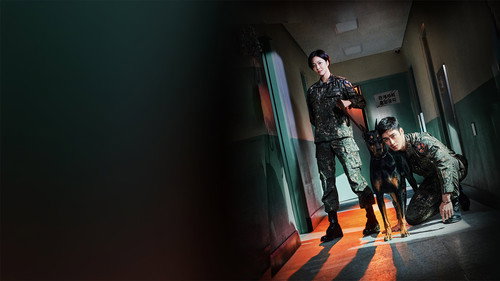 Military Prosecutor Doberman