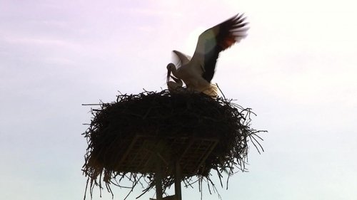 Image de l'épisode 1