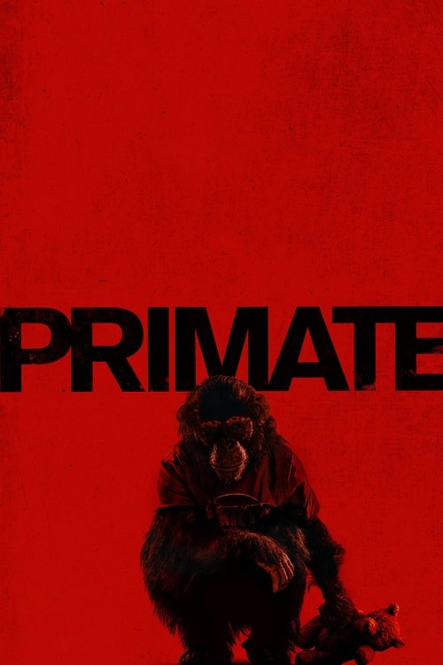 Poster 3