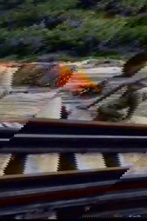 A Cidade das Águas Claras