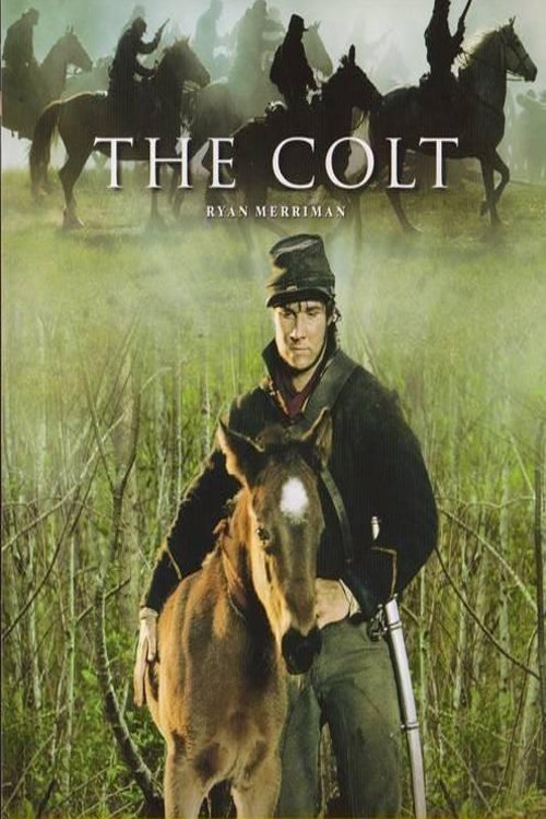 The Colt 2005