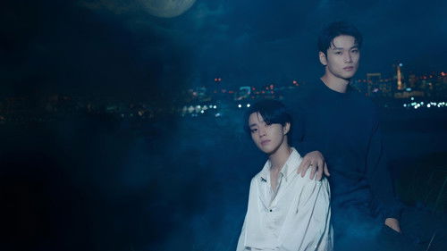 Love Begins in the World of If