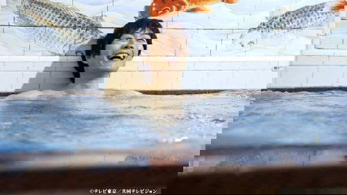Image de l'épisode 8