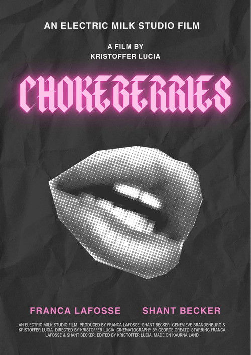 Chokeberries poster