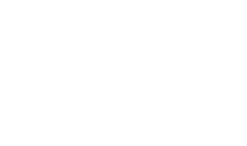 Mr. Wong in Chinatown