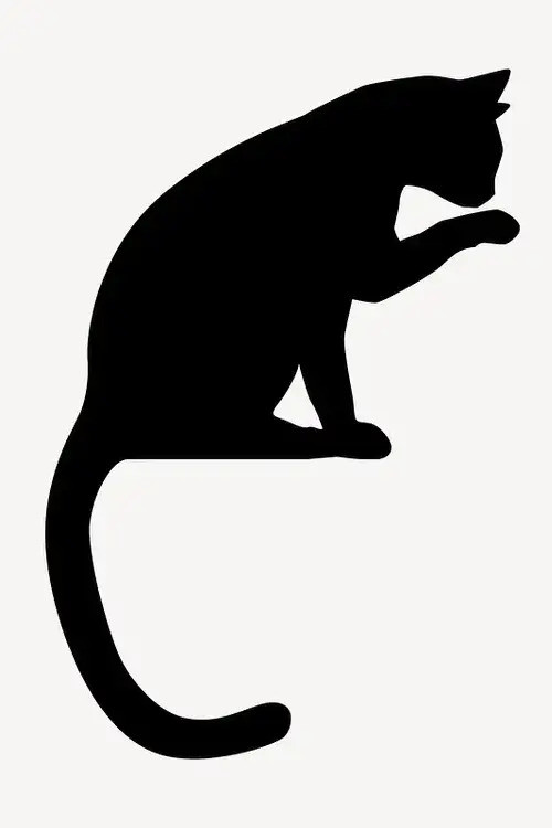 Poster for The Crooked Taled Cat