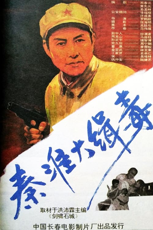 Seize Drg Smugglers in Qin Huai (1993) poster