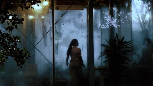El Encuentro Backdrop Blur