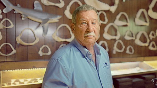 Shark Quest: Hunt For The Apex Predator