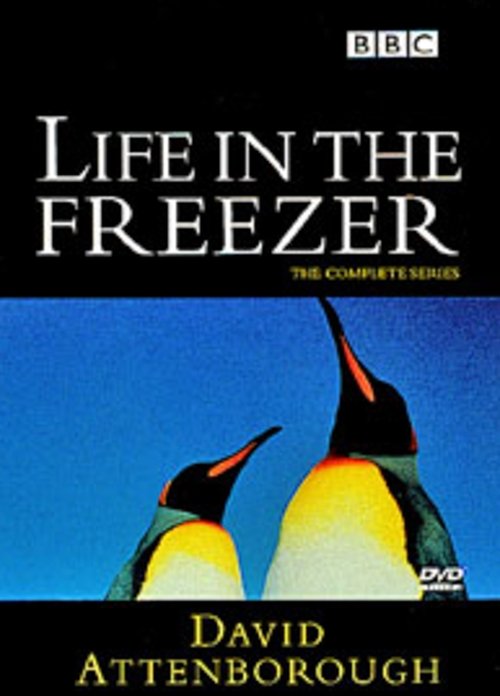 Ver pelicula Life in the Freezer Online