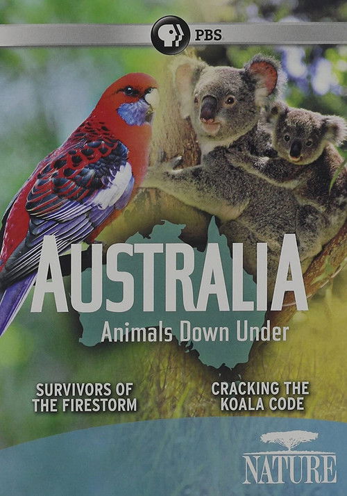 Australia Animals Down Under (2011) poster