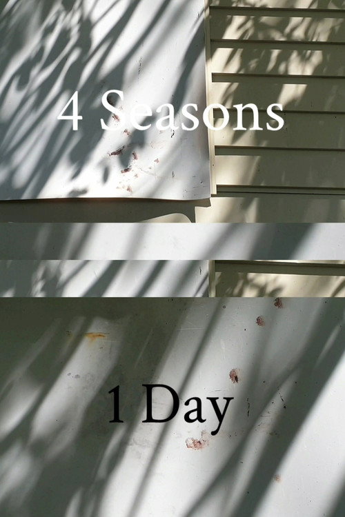 4 Seasons 1 Day