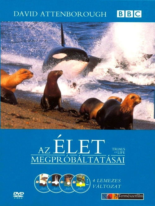 Escena 5 de La vida a prueba