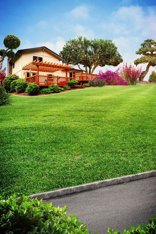 Escena 6 de Curb Appeal Xtreme