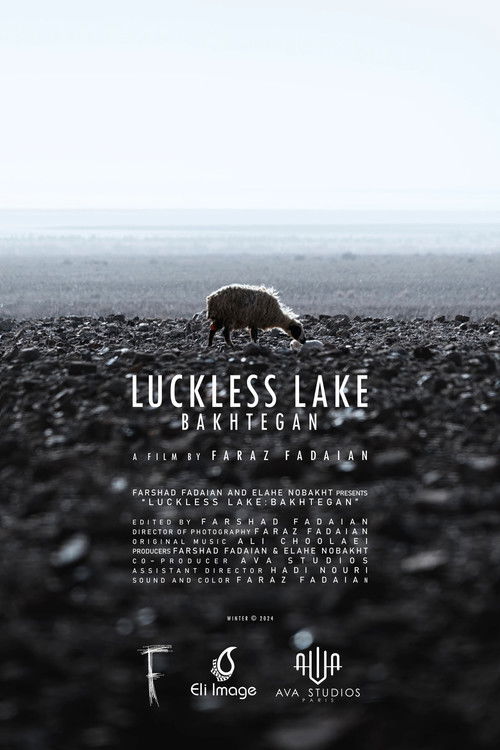 Luckless Lake poster