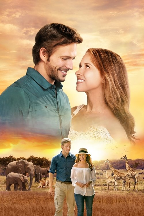Love on Safari poster