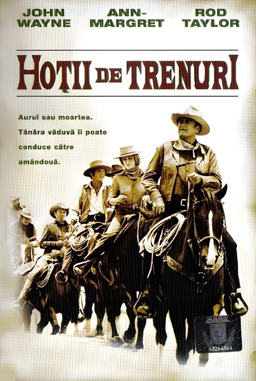 Poster pentru Hoții de trenuri