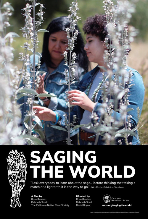 Saging the World poster