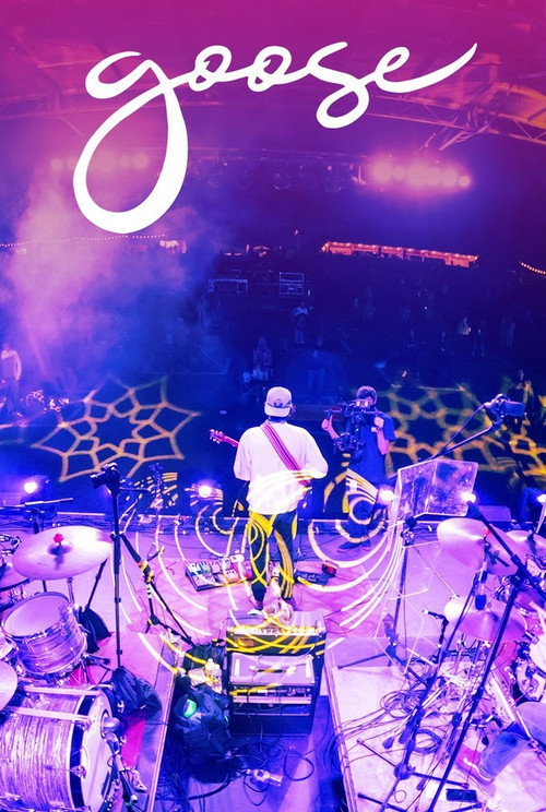 Goose: 2020.11.06 - South Farms - Morris, CT