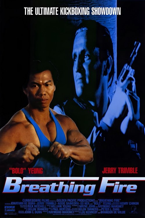 Poster 3