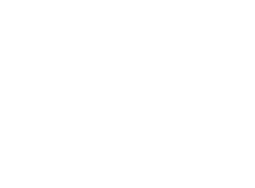 Nebel im August