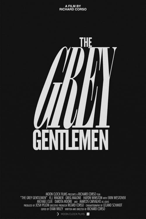 The Grey Gentlemen (2013) poster