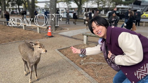 [&DAY OFF/TAKI vlog]  Family trip to Kyoto & Nara | A peaceful detour with the Deer