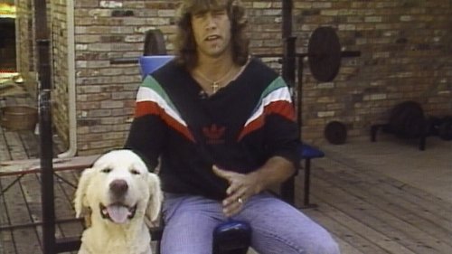 Image de l'épisode 36