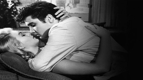 Elvis' Women - Season 1 Backdrop Blur