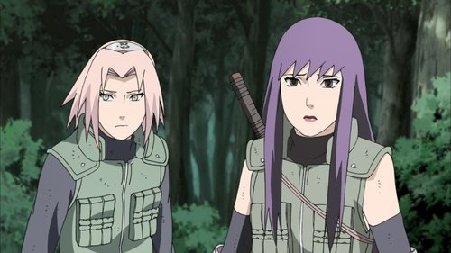 Naruto Shippuden Episódio 308