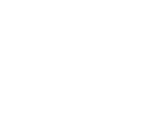 Rescate a cualquier costo