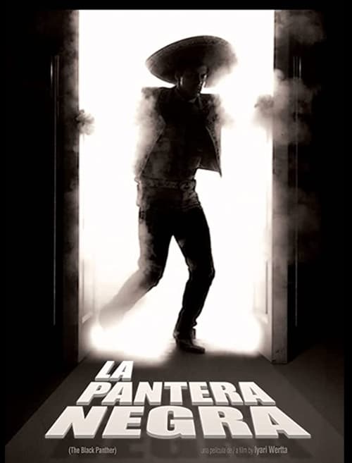 The Black Panter Movie Poster Image