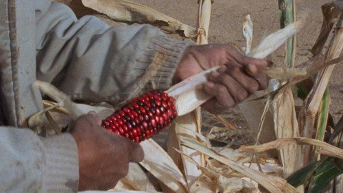 Techqua Ikachi, Land – My Life