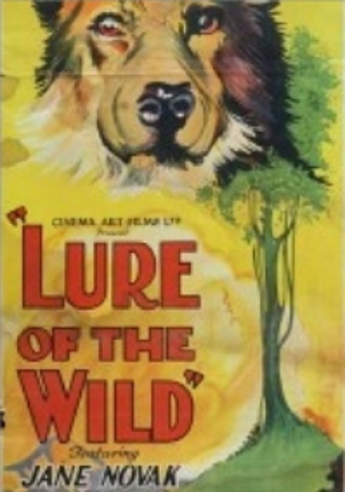 The Lure of the Wild movie poster player