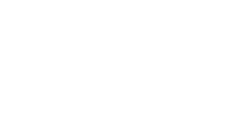 The Kangaroo King