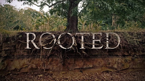 Rooted Life Through The Eyes Of Trees Backdrop Blur
