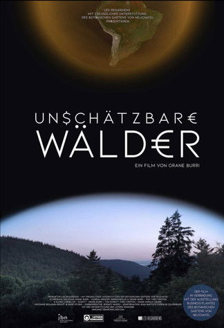 Unschätzbare Wälder