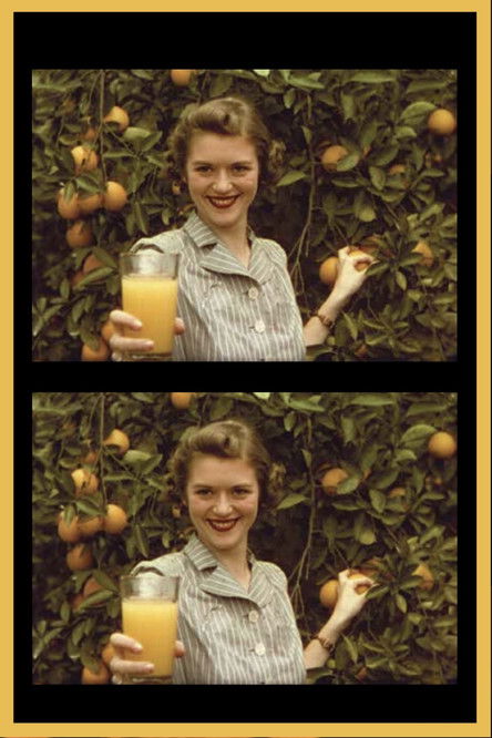 Florida, Land of Flowers poster