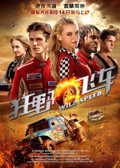 狂野飞车 movie poster player