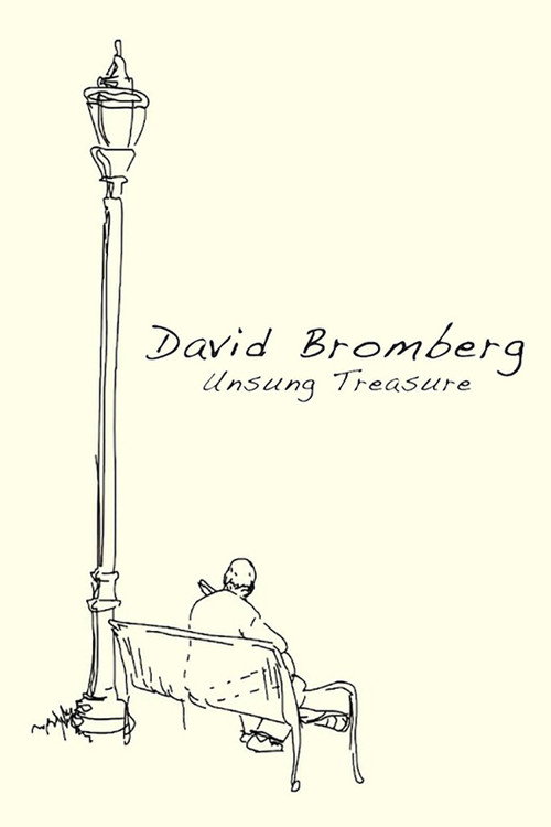 David Bromberg: Unsung Treasure
