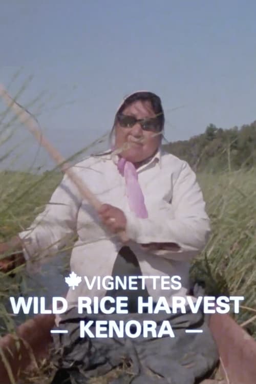 Canada Vignettes: Wild Rice Harvest Kenora (1979)