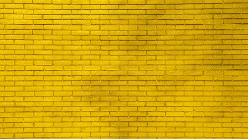 Walls For Women Backdrop Blur