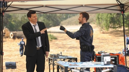 Bones: 9×11