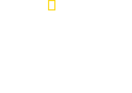 Hitler's Battle Against the Press
