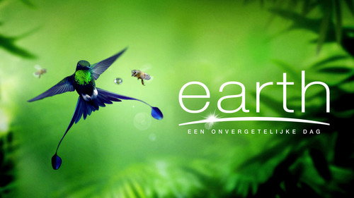 Earth: One Amazing Day — Backdrops 1