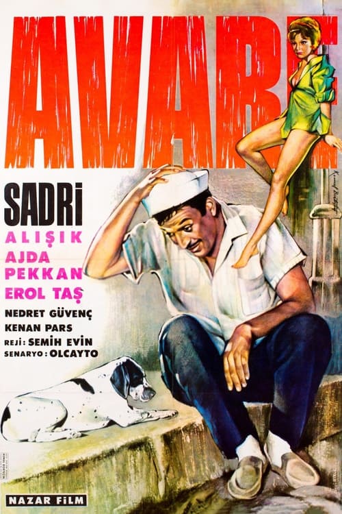 Poster Avare 1965