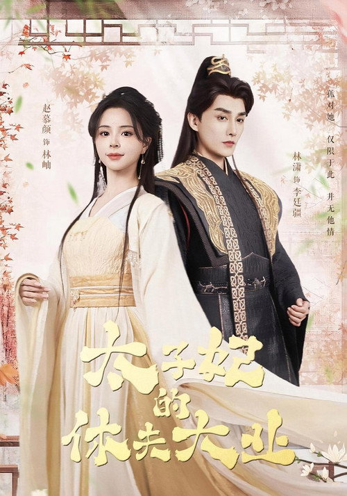 Poster de 太子妃的休夫大业
