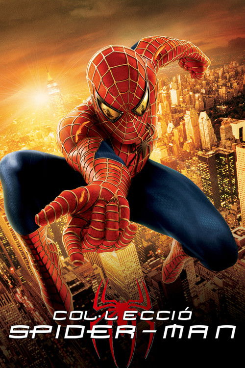 Pòster de Spider-Man - Col·lecció