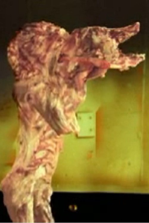 The Pig Walks movie poster player