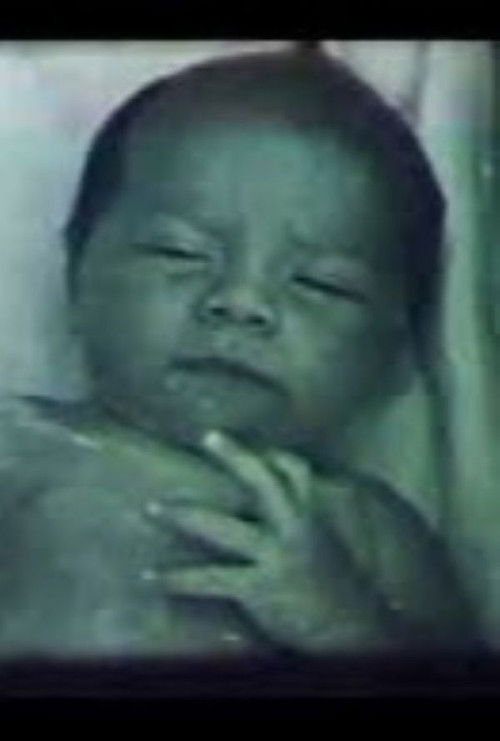 Harmonia dos Contrastes